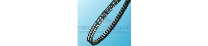 Optibelt SUPER TX X13 955
